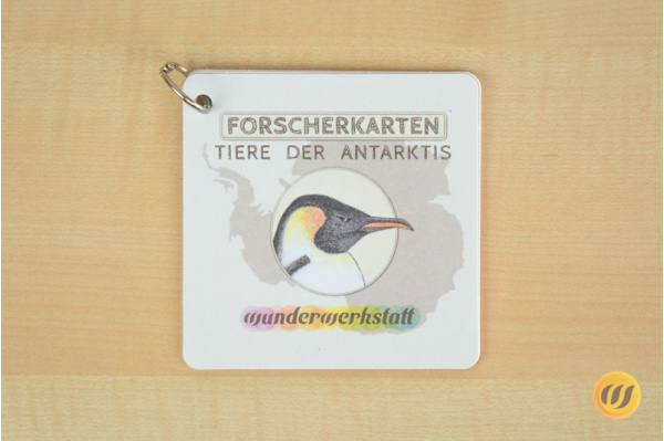 Tiere in der Antarktis - 8 Forscherkarten forscher_antarktis_druck
