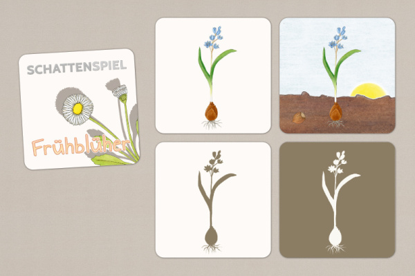 Schattenspiel Frühblüher Schattenspiel Frühblüher