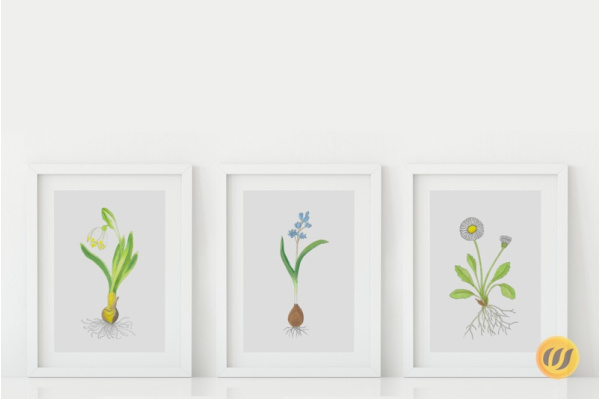 Frühblüher Set (16 Zeichnungen) fruehblueher_set