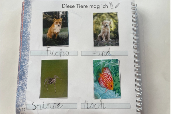 Bilder und Textkärtchen für die Montessori-Fibel glyxi_tiere