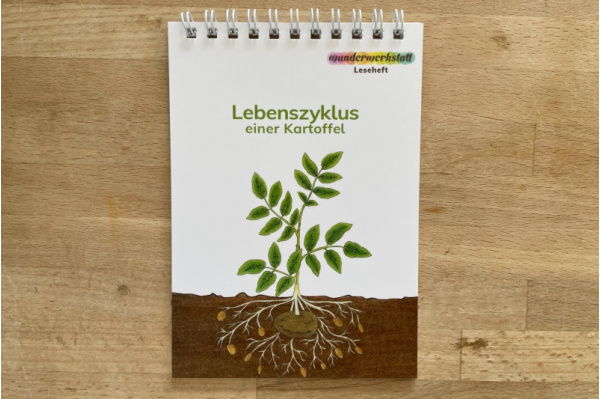 Leseheft: Lebenszyklus einer Kartoffel - illustriert kartoffel_lh_titel