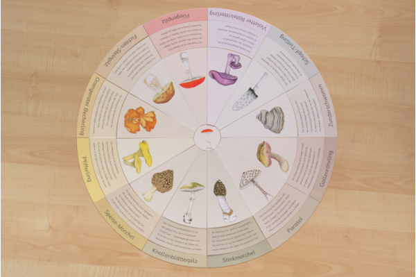legekreis_pilze_druck