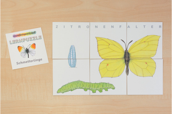 Lernpuzzle Schmetterlinge lernpuzzle_schmetterlinge