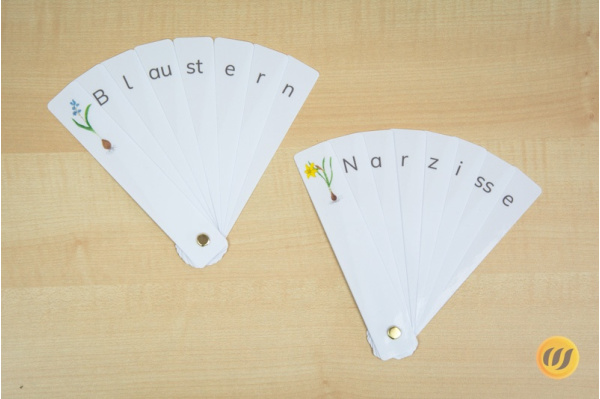 10 Lesefächer Frühblüher (Download) lesefaecher_fruehblueher_1a