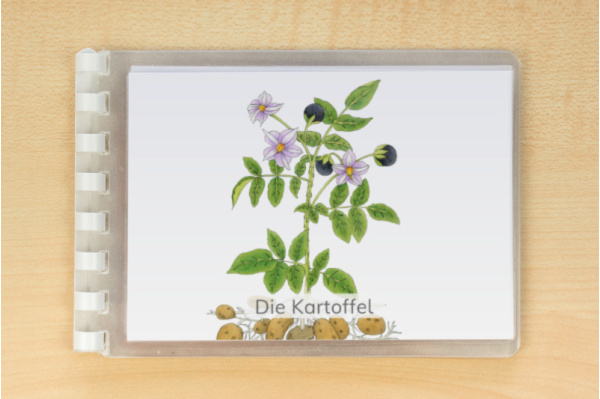 leseheft_kartoffel_download_1