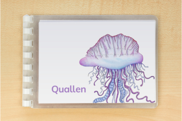 Leseheft "Quallen" - illustriert leseheft_quallen_download_2