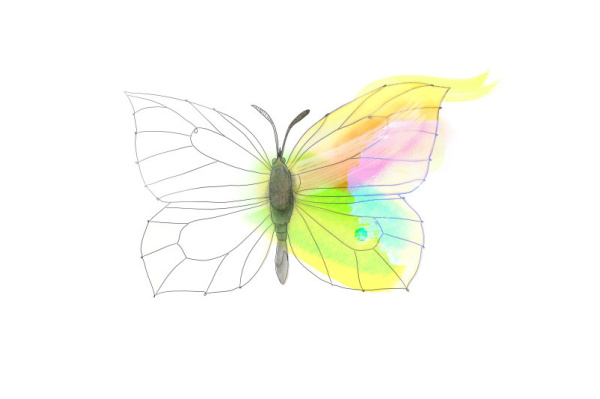 Malheft Schmetterlinge (Download) malheft_schmetterlinge