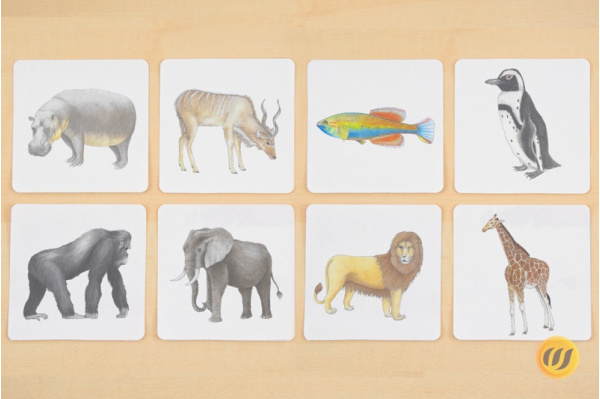 Paare finden - Tiere Afrikas memory_afrika