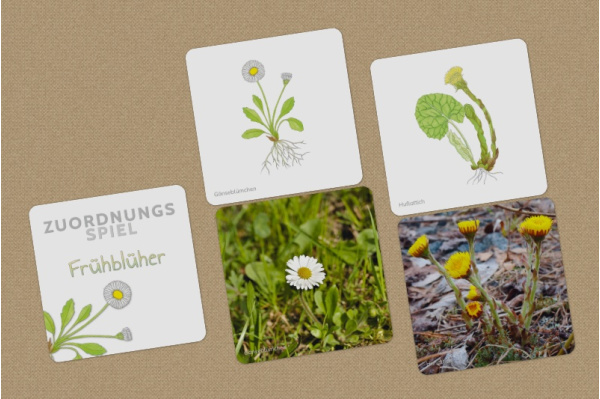 Zuordnungsspiel mit 16 Blumen memory_freuehblueher_titel_x