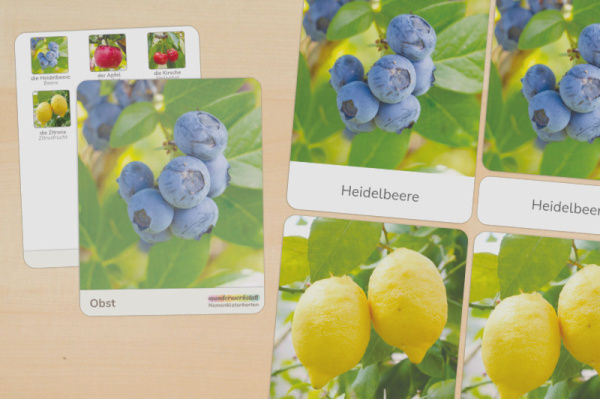 5 Nomenklaturkarten Obst nomen_obst_titel_1
