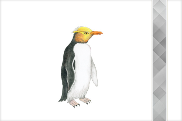 Paket: Pinguine paket_pinguine