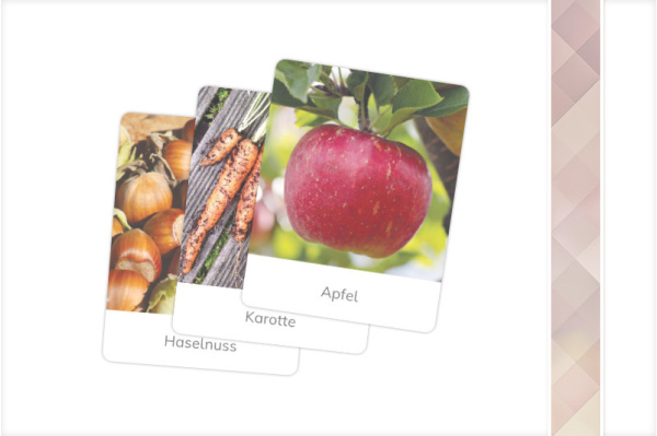 Nomenklaturkarten-Paket "Pflanzliche Lebensmittel (151 Motive) pflanzliche_lebensmittel_paket