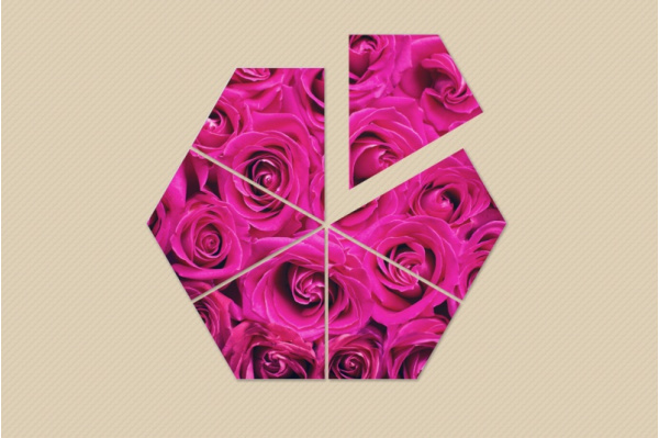 Texturen in der Natur - Hexagon-Puzzle (Download) puzzle_hexagon2