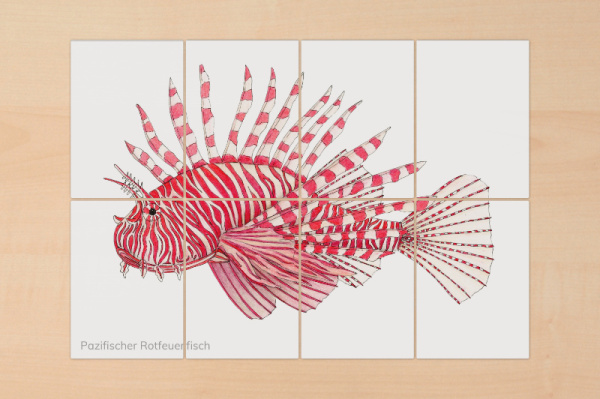 8-teilige Puzzle "Tiere im Korallenriff" puzzle_korallenriff_1