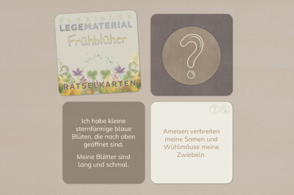 Rätselkarten - Frühblüher raetsel_fruehblueher__