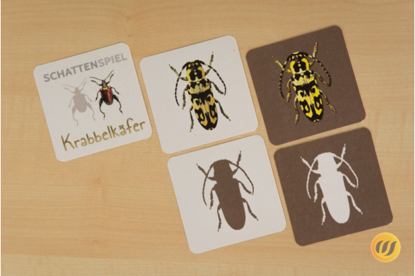 Schattenspiel Krabbelkäfer Schattenspiel Krabbelkäfer