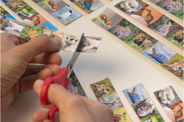 Schneidestreifen Tiere (Download) schneidestreifen_tiere