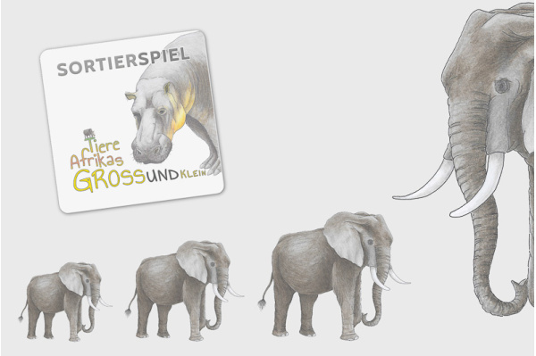Größensortierung - Tiere Afrikas sortier_afrika_titel