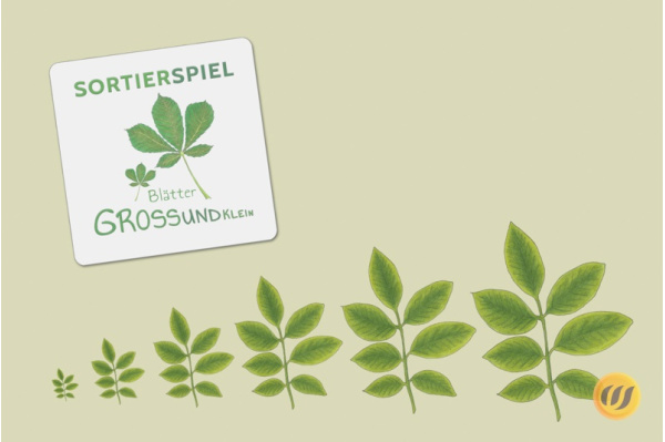 Größensortierung - Bäume und Sträucher Größensortierung - Bäume und Sträucher