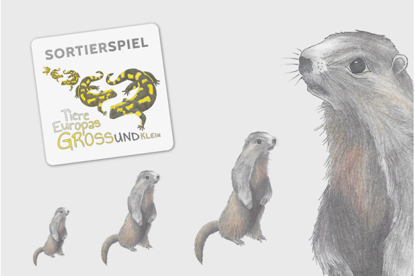 Größensortierung - Tiere Europas sortier_europa_titel