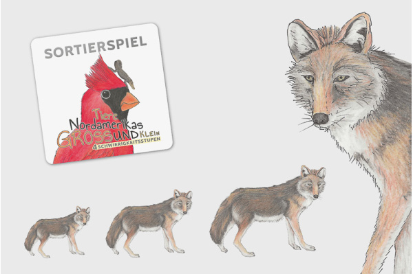 Größensortierung - Tiere Nordamerikas sortier_na_titel