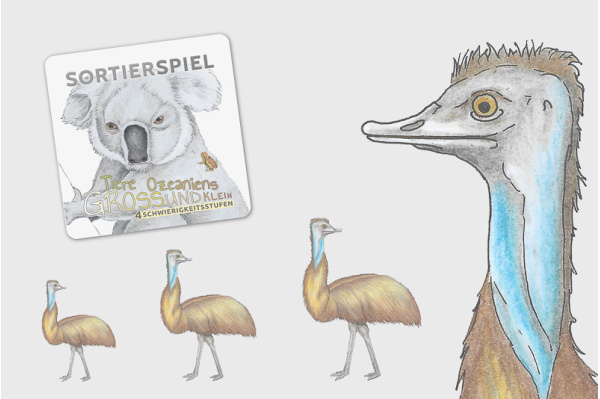 Größensortierung - Tiere Australiens sortier_oz_titel