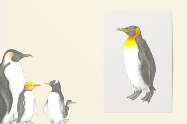 Pinguin-Zeichnungen einzeln titel_pingus