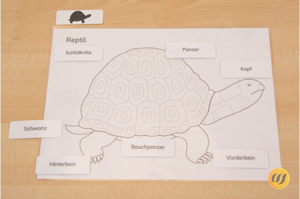 Kontrollkarten und Kopiervorlagen Wirbeltiere wirbeltieredruckschrift