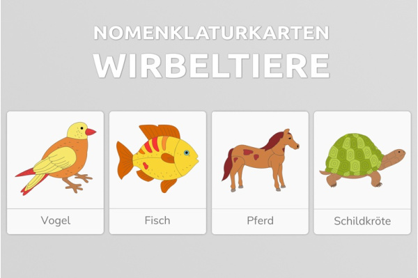 Nomenklaturkarten Wirbeltiere wirbeltieregesamtpaket