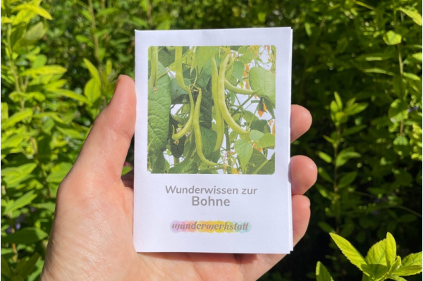 wunderwissen_bohne_titel_neu