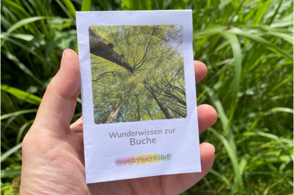 Faltbüchlein: "Wunderwissen zur Buche" (Download) wunderwissen_buche_titel