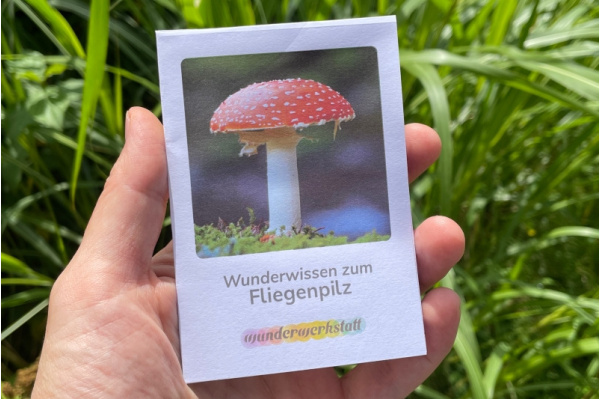Faltbüchlein: "Wunderwissen zum Fliegenpilz" (Download) wunderwissen_fliegenpilze_titel