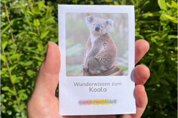 Faltbüchlein: "Wunderwissen zum Koala" (Download) wunderwissen_koala_titel