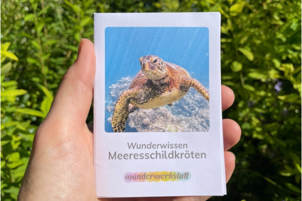 Faltbüchlein: "Wunderwissen zur Meeresschildkröte" (Download) wunderwissen_meeresschildkroeten_titel_neu