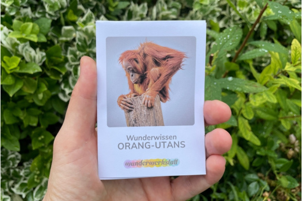 Faltbüchlein: "Wunderwissen Orang-Utans" (Download) wunderwissen_orangutan_titel
