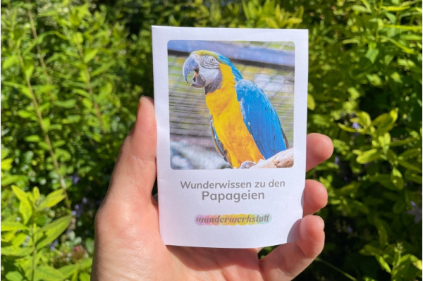 Faltbüchlein: "Wunderwissen zu den Papageien" (Download) wunderwissen_papagei