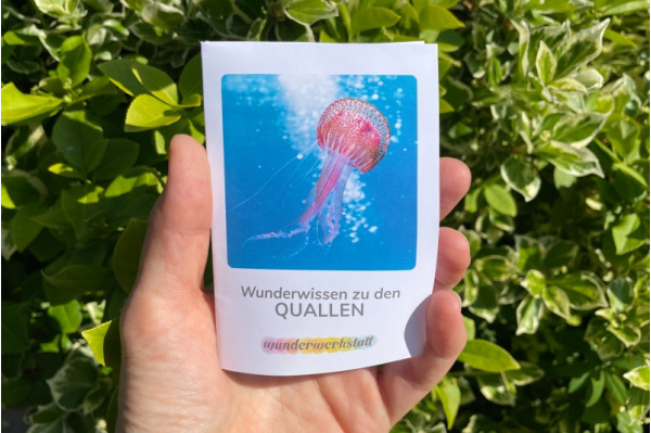 Faltbüchlein: "Wunderwissen zu den Quallen" (Download) wunderwissen_quallen_titel