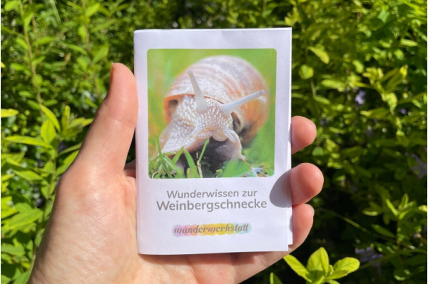 Faltbüchlein: "Wunderwissen zur Weinbergschnecke" (Download) wunderwissen_weinbergschnecke_titel_neu