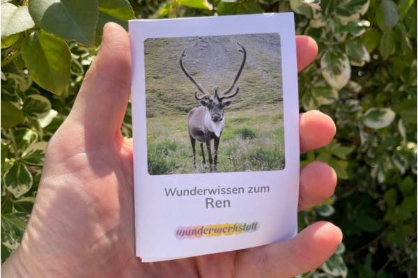 ww_rentier_titel