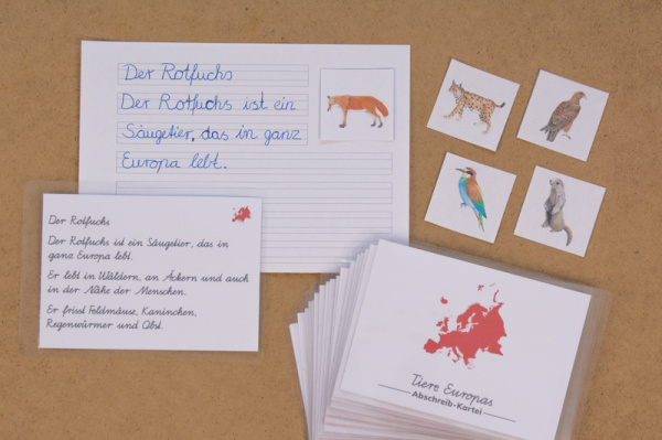Abschreibekartei - 20 Tiere Europas 