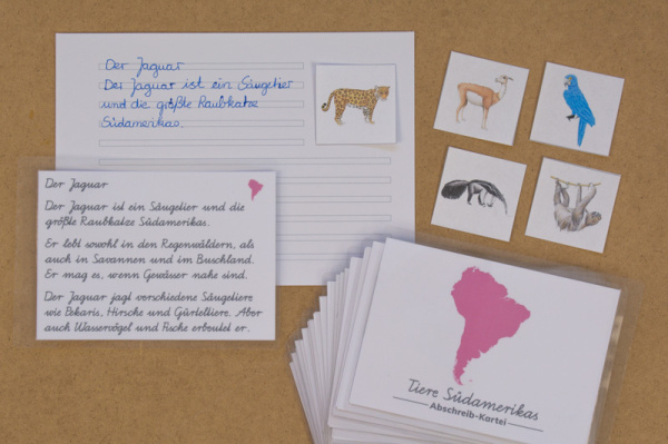 Abschreibekartei 20 Tiere Südamerikas