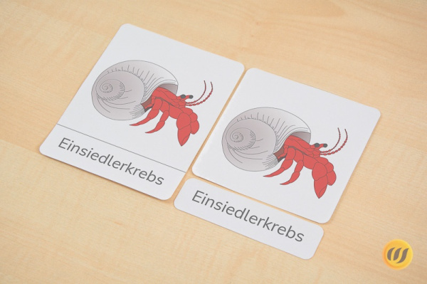 (Deutsch - Druckschrift - Download)