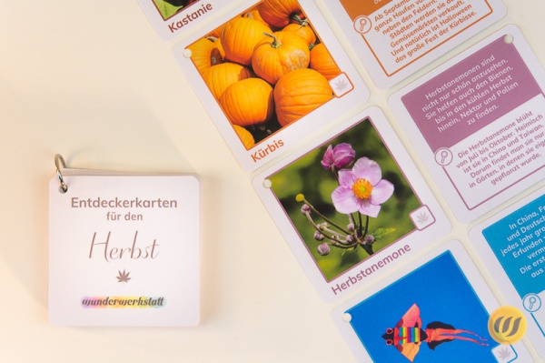 ek_herbst_mit