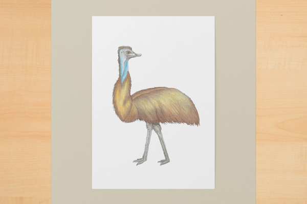 emu1