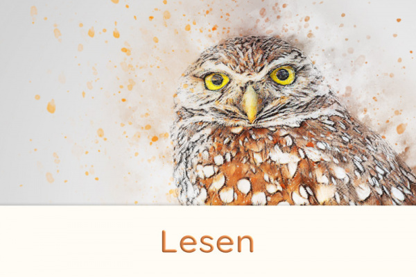faehigkeiten_titel_5_817795318