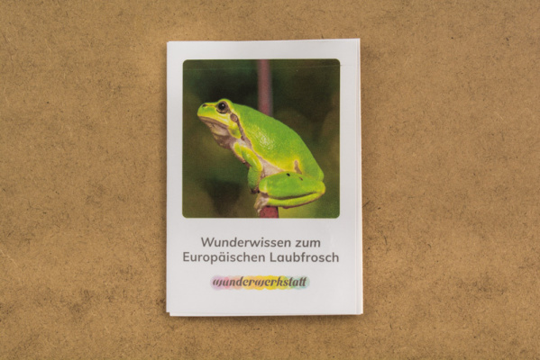 faltbuechlein_frosch