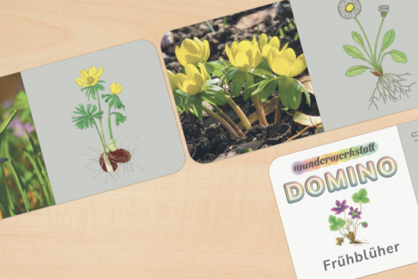 fb_domino_druck1