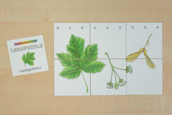 Lernpuzzle Laubgehölze