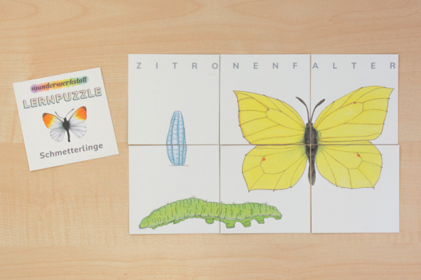 lernpuzzle_schmetterlinge