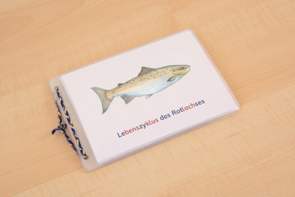 leseheft_lachs_silben
